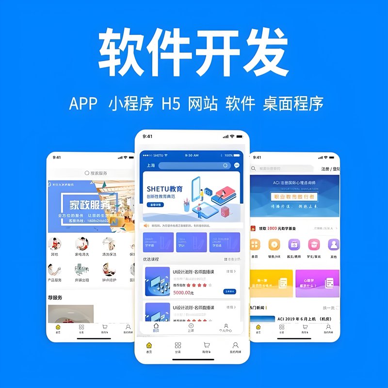 选购指南：揭秘软件开发公司的优劣